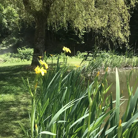 Casa de hóspedes D'hôtes Maison Efftermatten 3*