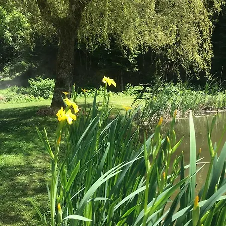 D'hôtes Maison Efftermatten Andlau-au-Val